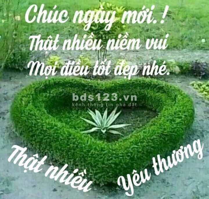 Bán nhà Nguyễn Đình Chiểu Quận 3 diện tích 50m2 giá ngộp mùa dịch giá chỉ 6.8 tỷ