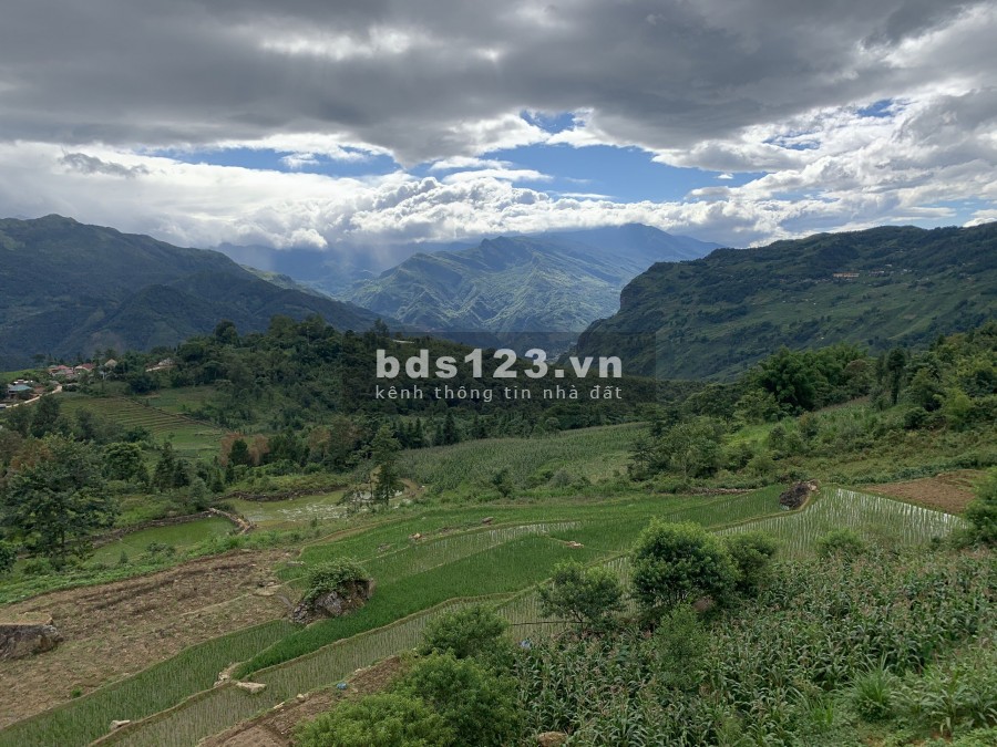 Đất Trang Trại, Farmstay tại Mộc Châu, Sơn La, tài chính 5xx triệu/ ha