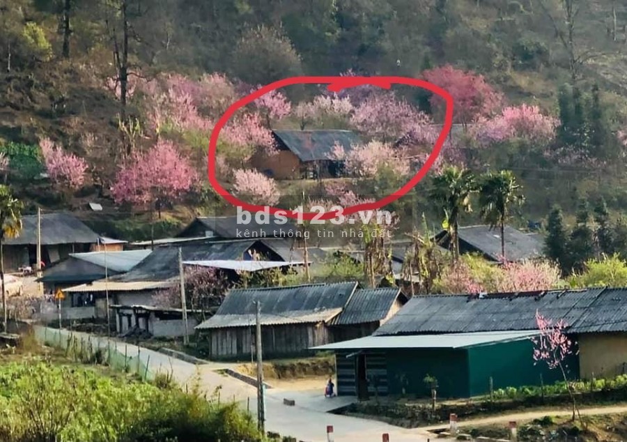 Bán đất Y Tý thôn Phìn Hồ view Hồ 22ha thế đất đẹp ngắm hoa đào. 0822356688