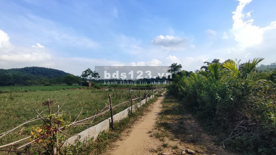 Đất nền giá rẻ Thạch Thất - Tiến Xuân cạnh đại học Quốc Gia, giá bán 2.72 tỷ