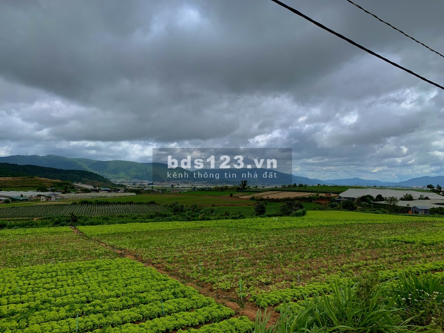 Bán đất Ka Đơn chính chủ view bao quát toàn cảnh, gần sân bay, lh 0919125862