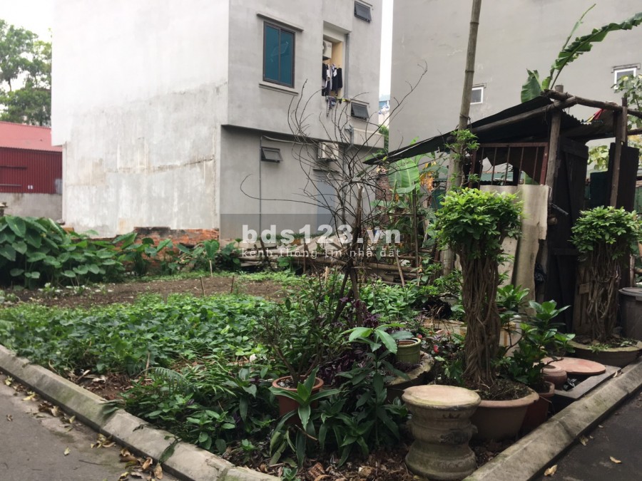 Cần bán gấp lô góc diện tích sử dụng 48,8m tại tổ 12 Thạch Bàn, mảnh đất đẹp