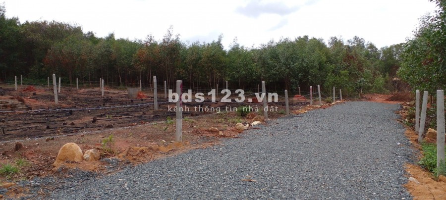 Hiếm Có 1662 M2 ĐẤT Sơn Mỹ VIEW BIỂN 200m2 Thổ cư 121tr/m ngang
