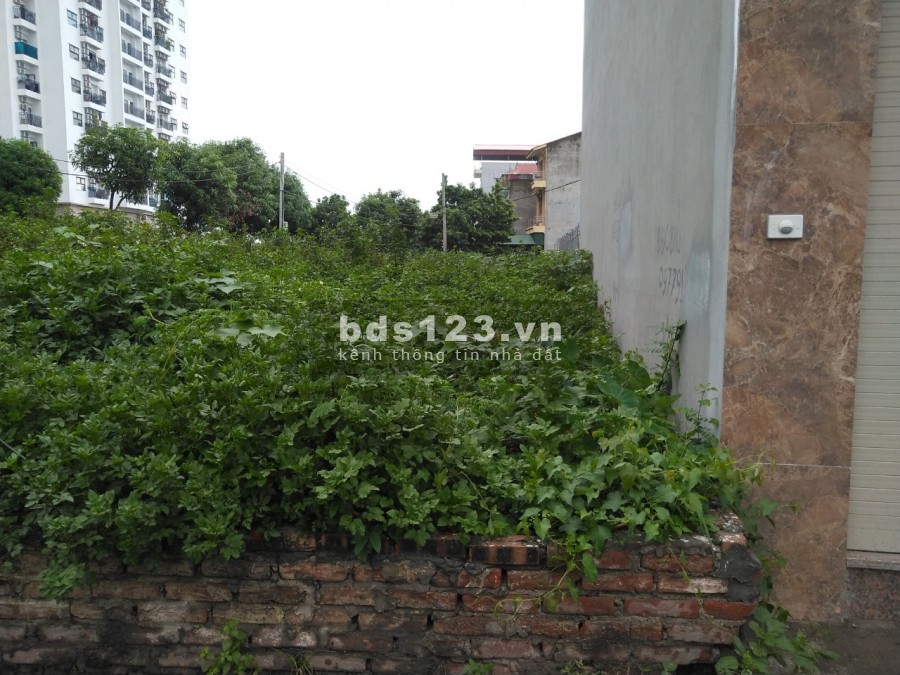 Bán đất Đàm Quang Trung,vỉa hè rộng, Kinh doanh sầm uất 47m , giá 6.3 tỷ