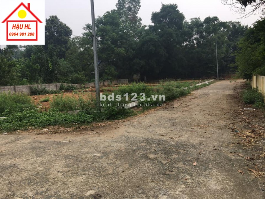 Bán gấp lô đất tại Phú Mãn - Nằm trong vùng lõi độ thị vệ tinh - Giá nhỉnh 1 tỷ.