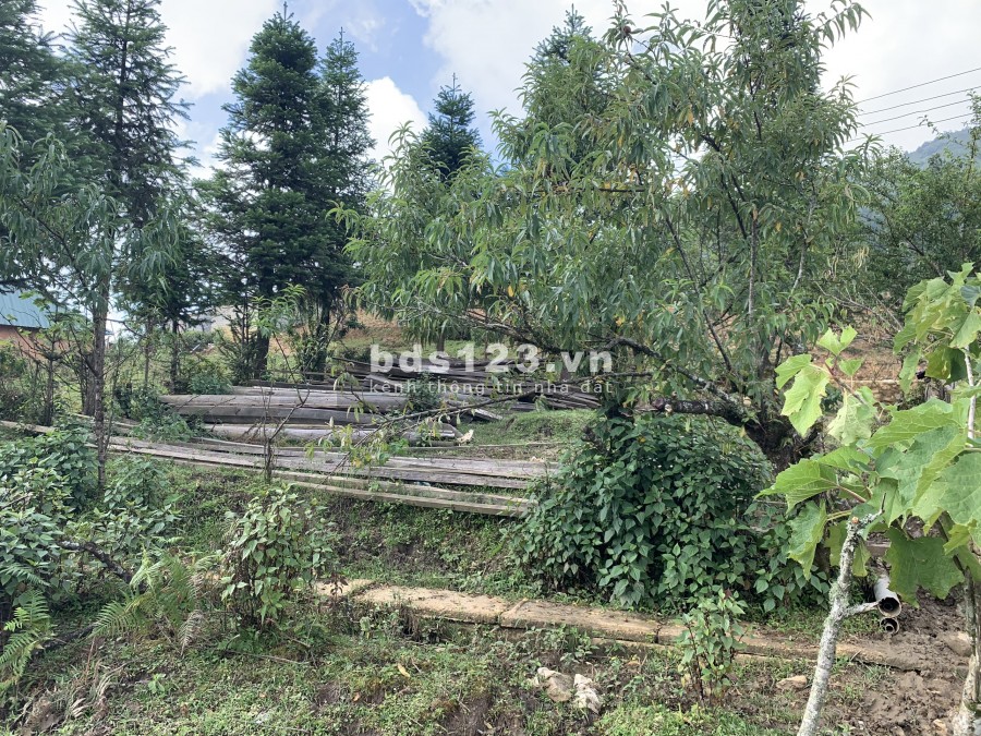 Mảnh đất Y Tý (Sapa 2) 9000m2 ở thôn Mò Phú Chải có sổ đỏ view trải dài. Liên hệ 0822356688