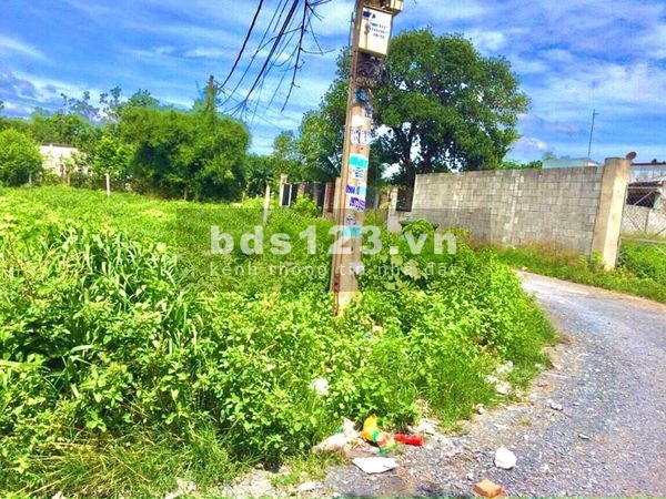 Cần bán đất diện tích lớn 650m2 có sổ hồngvà 100m2 thổ cư. mặt tiền đường cách TL 15 20m