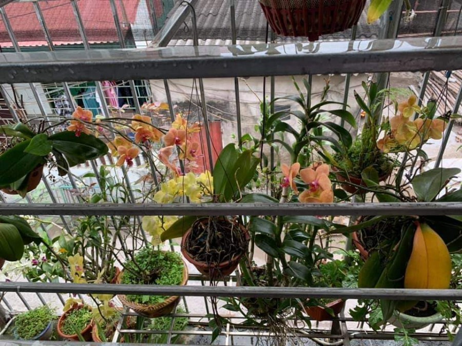 Cần bán căn nhà tại Tiền Phong Mê Linh Hà Nội, DT 80m2 Giá 2.65 tỷ LH 0982166276