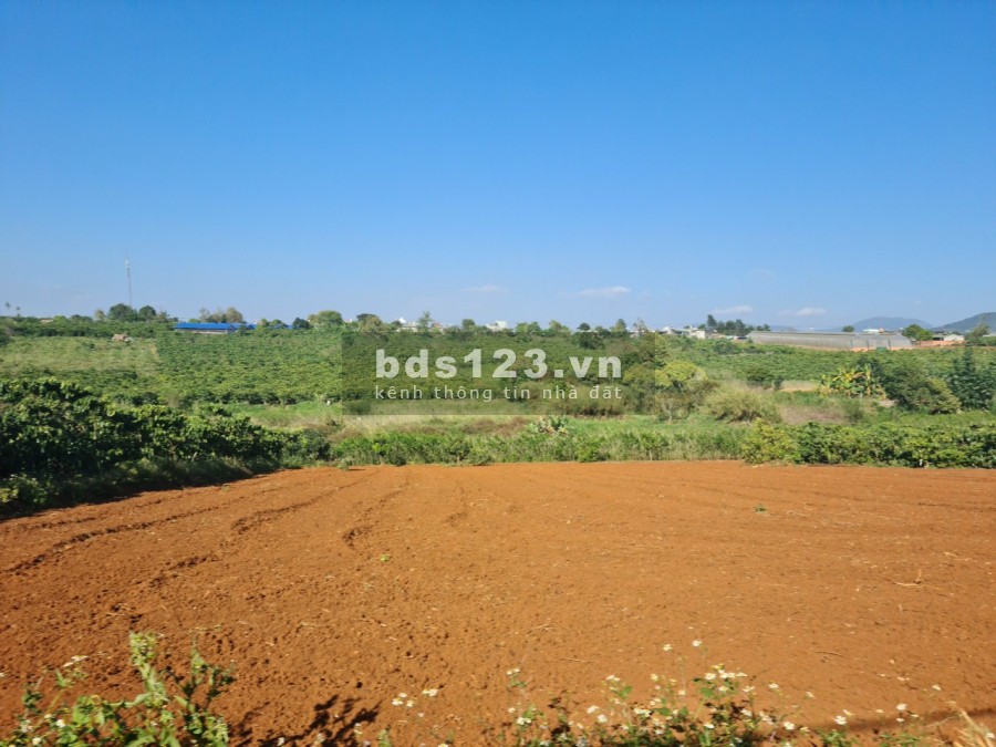Bán đất nghỉ dưỡng tại Bảo Lâm, MT đường nhà nước rải nhựa, chỉ 699 triệu/nền, 100%thổ cư