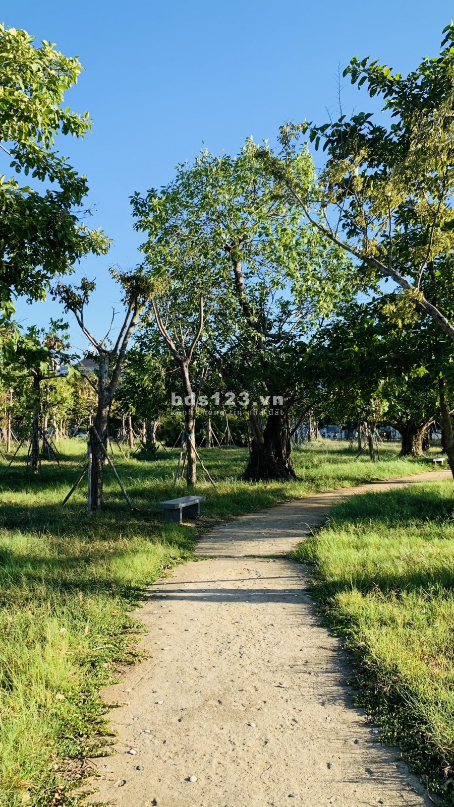 Sở hữu nhà không lo về giá chỉ duy nhất trong tháng 8, tặng nội thất chiết khấu cao, sổ sẵn