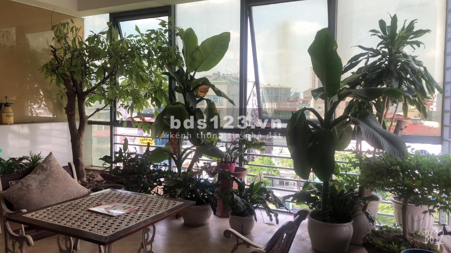 Tòa nhà 10 Tầng Quan Hoa Thang máy, Dòng tiền ổn định, dt 170m2, mt 5.5m, giá 36 tỷ, Cầu Giấy
