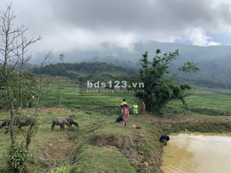 Mảnh đất Y Tý (Sapa 2) 9000m2 ở thôn Mò Phú Chải có sổ đỏ. Liên hệ 0822356688