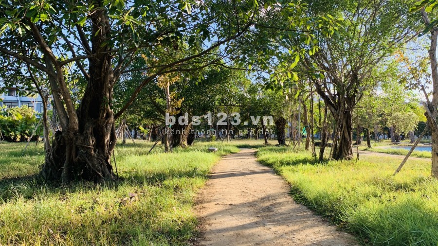 Sở hữu nhà không lo về giá chỉ duy nhất trong tháng 8, tặng nội thất chiết khấu cao, sổ sẵn