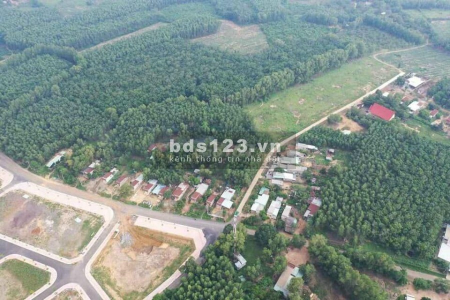 ĐẤT NỀN LIÊN KỀ TĐC SÂN BAY LONG THÀNH VÀ KDC D2D.