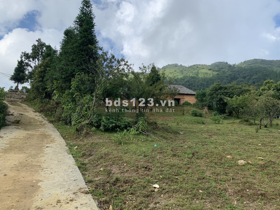 Mảnh đất Y Tý (Sapa 2) 9000m2 ở thôn Mò Phú Chải có sổ đỏ. Liên hệ 0822356688