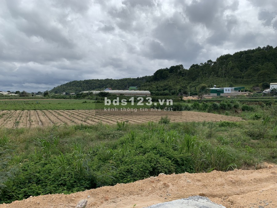 Bán đất gần khu công nghiệp Ka Đô Đơn Dương, đường số 27, Lâm Đồng, pháp lí đủ