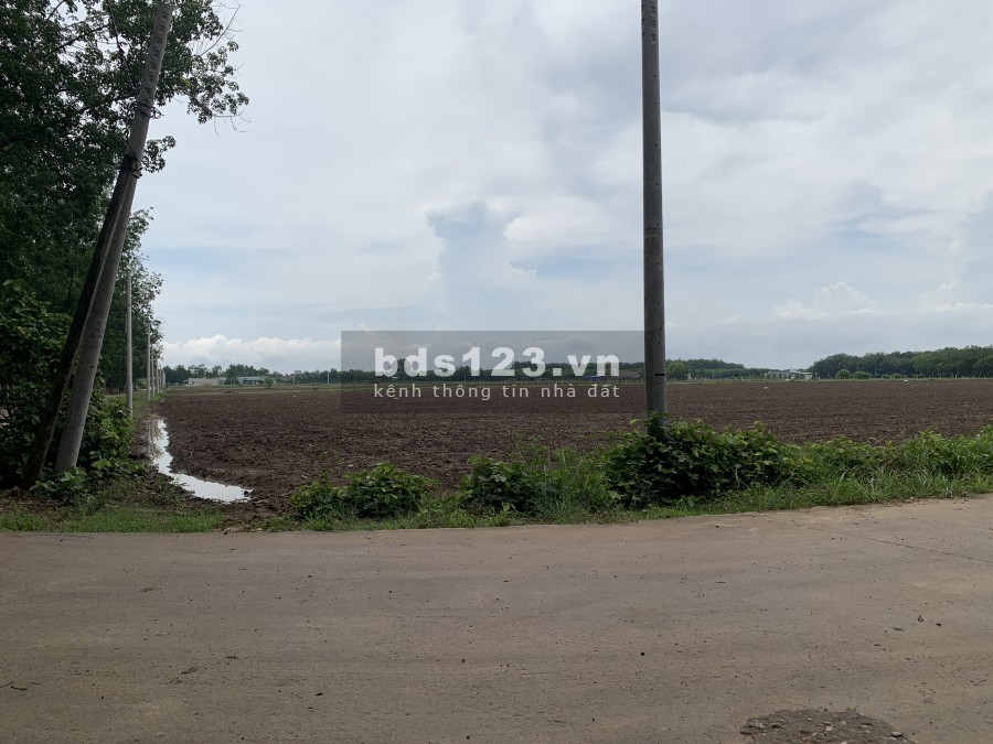 Bán gấp lô đất đường nhanh Tỉnh Lộ 42m, dt 2.578M2 (30X85,9M2) đường 16m, giá 486 triệu