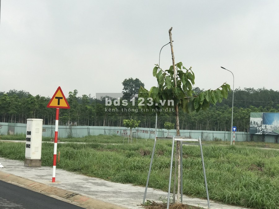 Đất MT Huỳnh Văn Lũy DT742 đối diện khu Visip 2 và Khu Vsip 3 quy mô lớn sắp hình thành