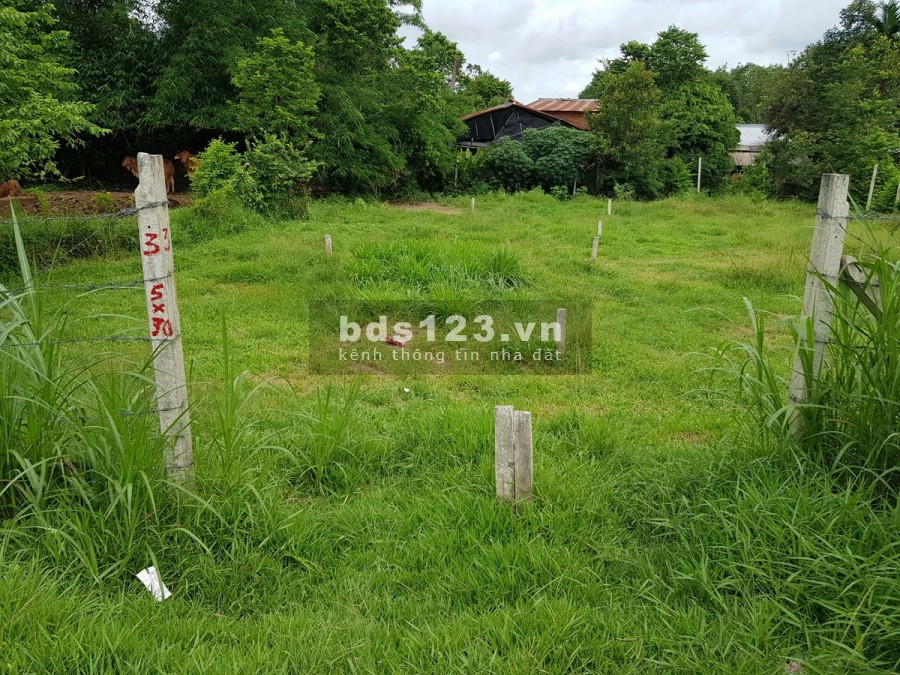 Bán Mặt Tiền Xã Phú Mỹ Hưng Củ Chi diện tích sử dụng 150m2 giá 1.55 tỷ