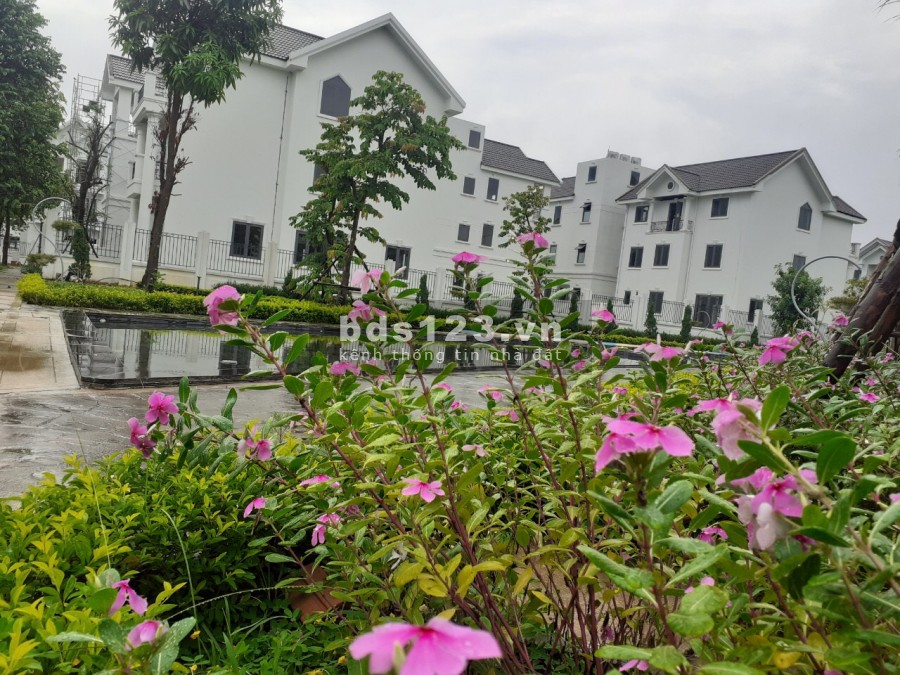 2 tỷ nhận nhà, voucher chơi Golf, miễn phí quản lý vận hành tại Times Garden Vĩnh Yên