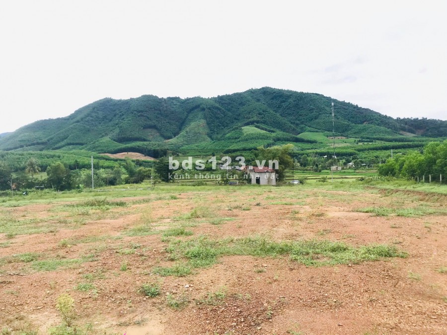 Bán đất đường nhựa Hương Lộ 62 có thổ cư giá rẻ LH 0788.558.552