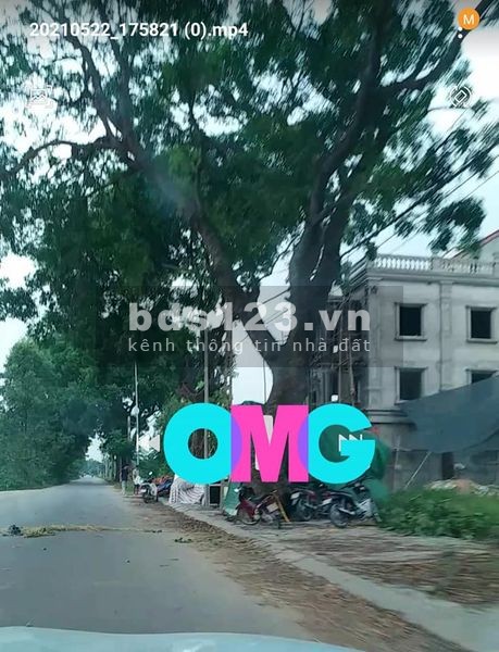 Gia đình cần bán Ô đất Khu chợ Tứ Xã Lâm Thao Phú Thọ ( rặng xà cừ)
