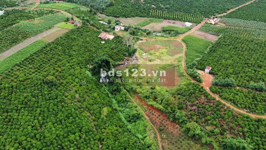 200 triệu sở hữu diện tích đất 215m2 đất thổ cư thị trấn Nam Ban, Đà Lạt