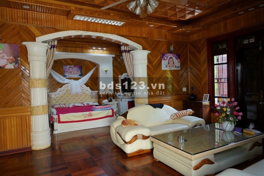 Bán biệt thự khu Đông Nam Cường, dt 216m2, mt 12m, 3.5 tầng, sân vườn, nhà cực đẹp