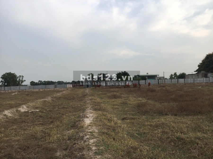 Bán hơn 1.1 Ha phân lô 100% thổ cư, ngay Tỉnh Lộ 2, Sông Cái Nha Trang