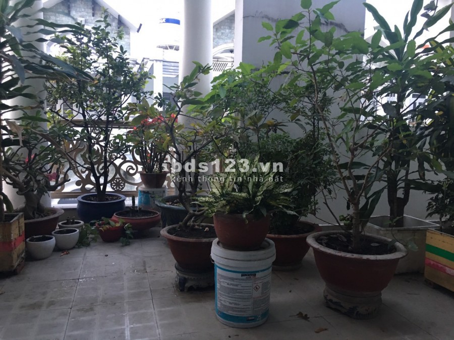 Bán nhà nguyên căn Nguyễn Văn Dung, Gò Vấp, hẻm 5m, diện tích…