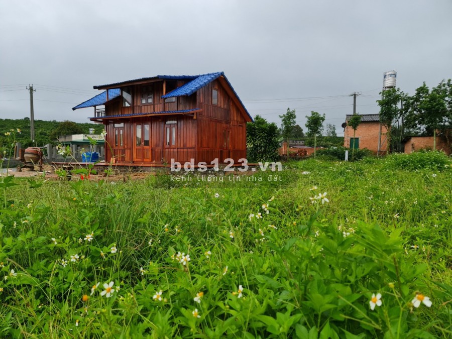 Chính chủ cần tiền bán gấp đất nghỉ dưỡng tại Lâm Đồng, lh 0383452479