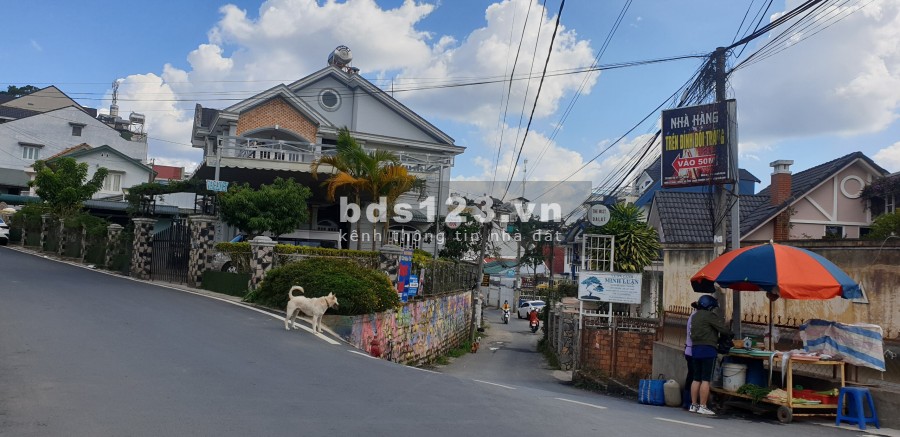 Lô đất sổ riêng đất xây dựng ngay hẻm 27 Lê Hồng Phong, Đà Lạt với dt 100m2, đường ô tô vào tận đất