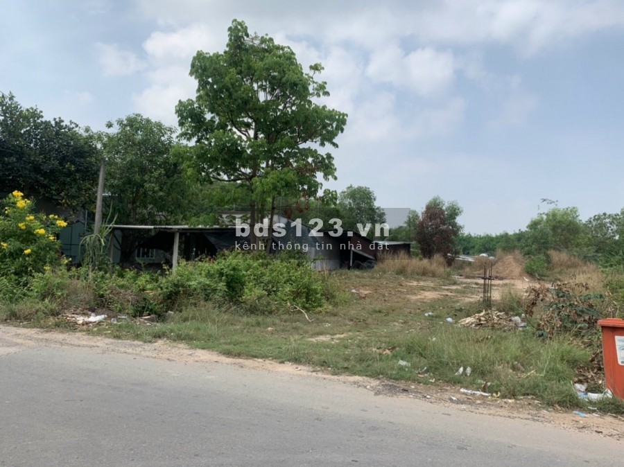 Cần bán lô đất 100m2 full thổ cư mỹ phước 2 thị xã Bến Cát, full thổ cư