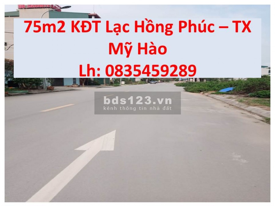 Cần bán gấp 75m2 khu Lạc Hồng Phúc, Mỹ Hào, Giá bán cho nhà đầu tư, lh: 0835459289
