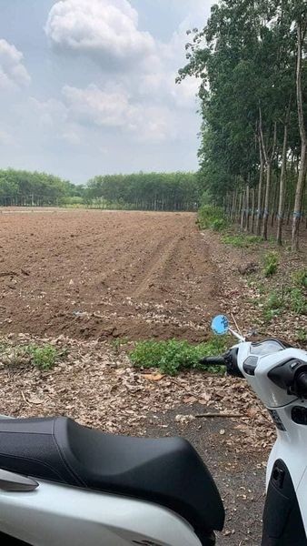 Bán gấp lô đất mặt tiền 28m giá 514 triệu, pháp lý an toàn, sổ sẵn
