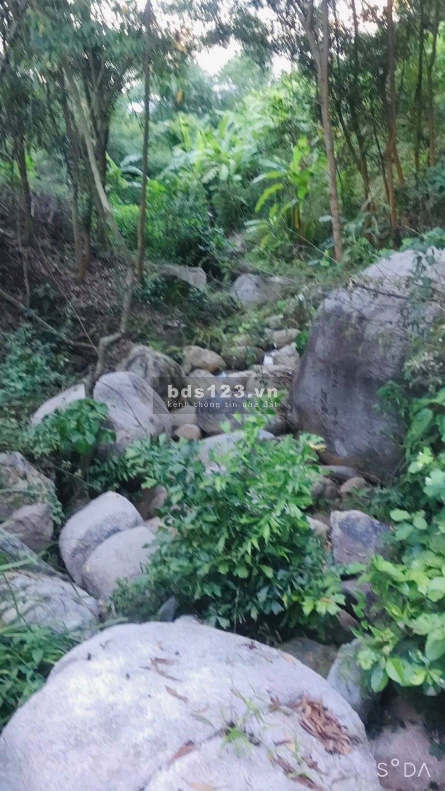 Bán đất 1ha giá rẻ giáp Suối mặt tiền betong hơn 100m ngang liên hệ 0788.558.552