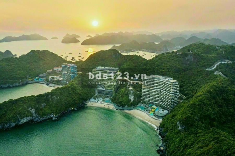 Flamingo Cát Bà sở hữu nhiều chính sạch ưu đãi, thanh toán 95% nhận nhà