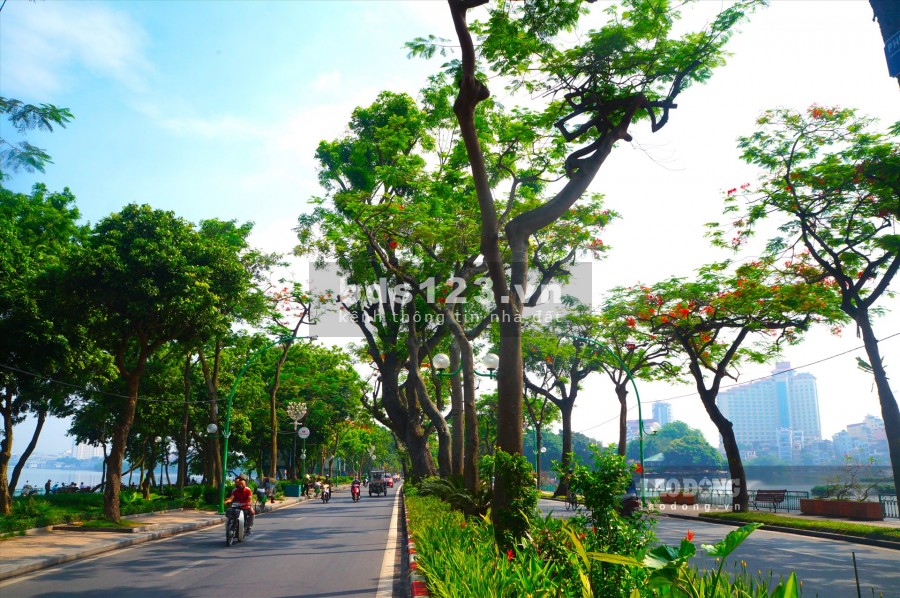 Đất đẹp Hồ Tây, dt 150m2, đường to ô tô vào thoải mái, giá rẻ hơn nhiều so với khu vực, giá chỉ 28 tỷ