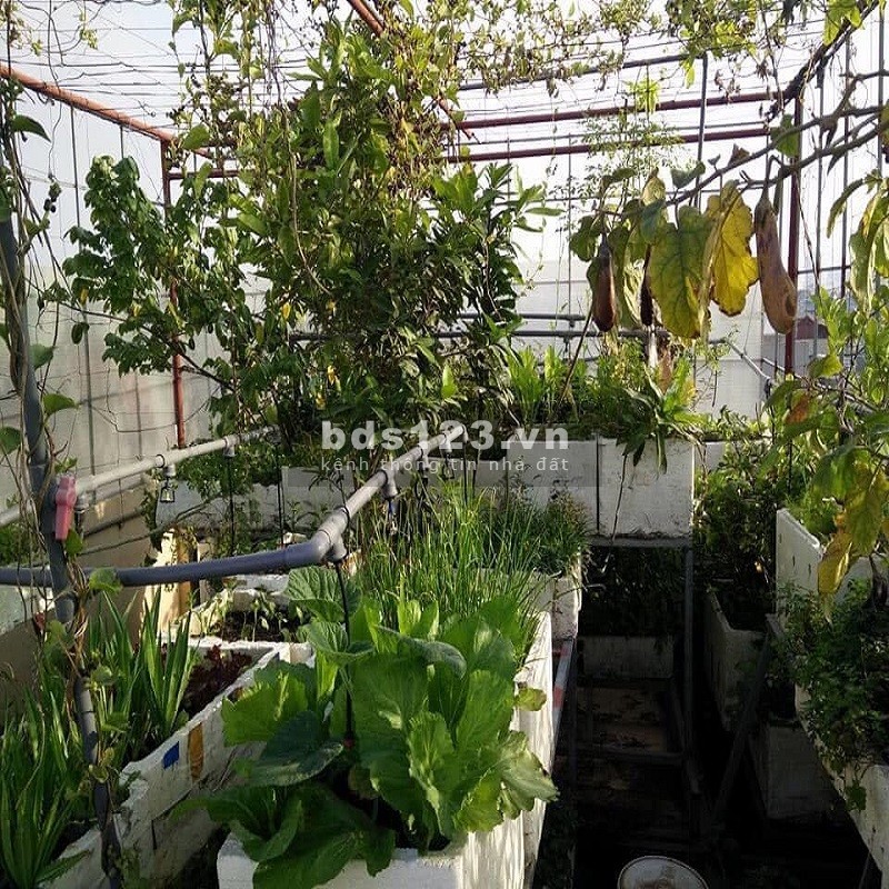 Cần bán nhà khu vực ngã tư sở ô tô đỗ gần 37m2 6 tầng giá chỉ 3.2 tỷ