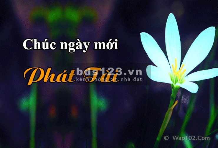 Bán nhà mặt tiền Lê Hồng Phong 41m2 giá rẻ bất ngờ mùa dịch chỉ 8.9tỷ