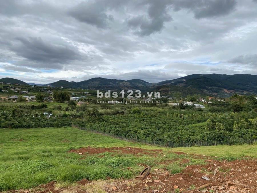Bán đất Đông Thanh trung tâm Nam Ban, Lâm Hà, giá bán chỉ 1.05…