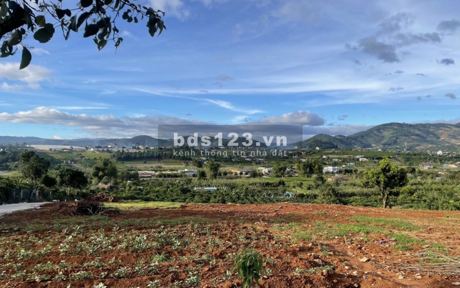 Bán đất Đông Thanh trung tâm Nam Ban, Lâm Hà, giá bán chỉ 1.05…