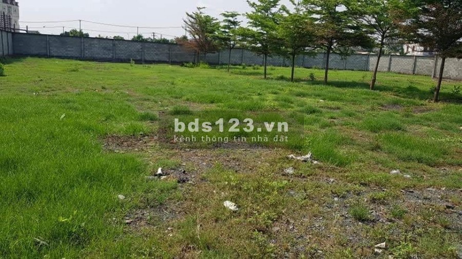 Bán Đất Giá Rẻ 2440M2 Chỉ 37 Tỷ còn thương lượng, Nguyễn Văn Bứa Hóc Môn
