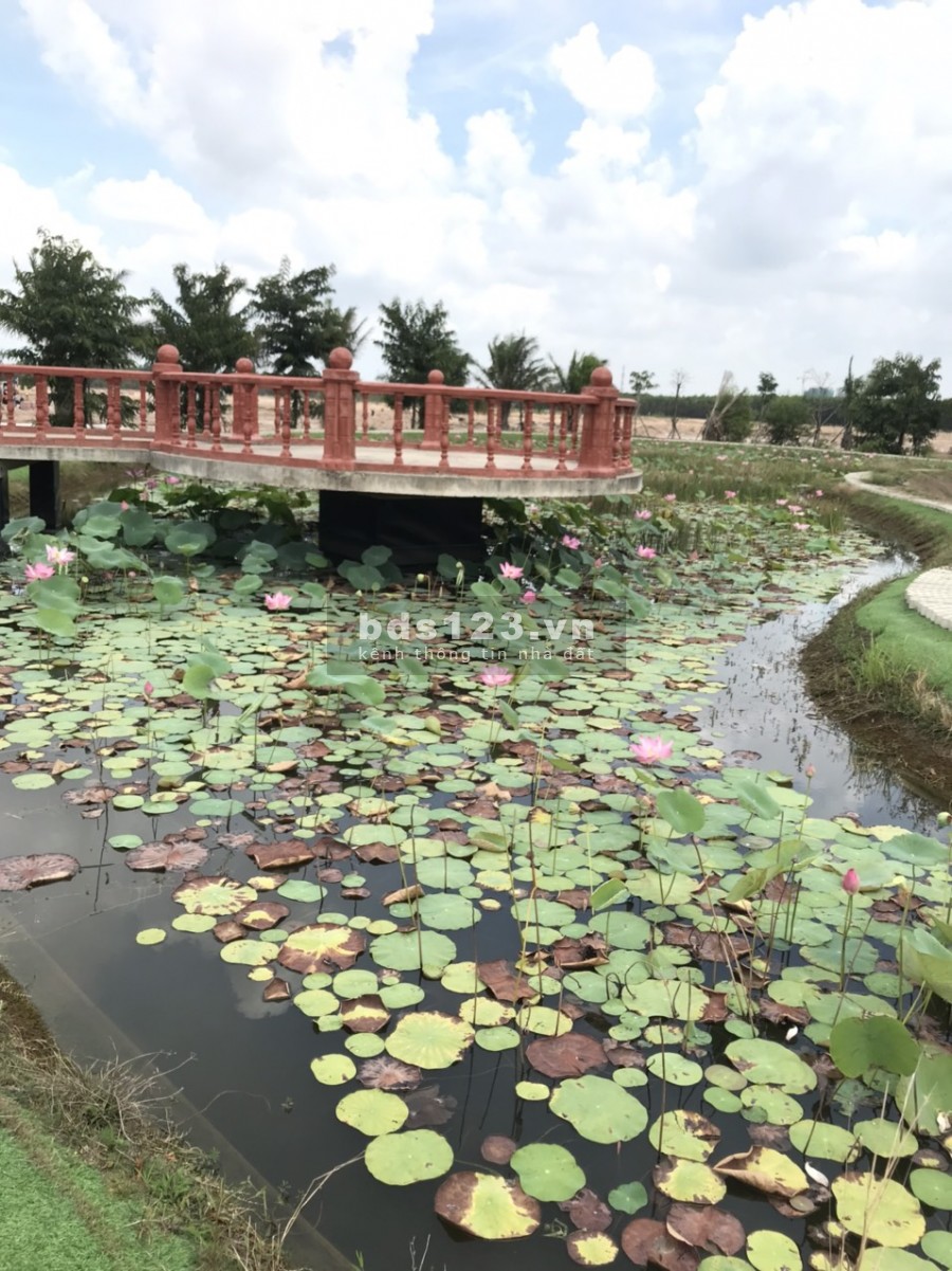 Cần bán lô đất rẻ dự án Mega2 giá đầu tư mua Covid nhanh tay sở hữu chỉ duy nhất 1 lô