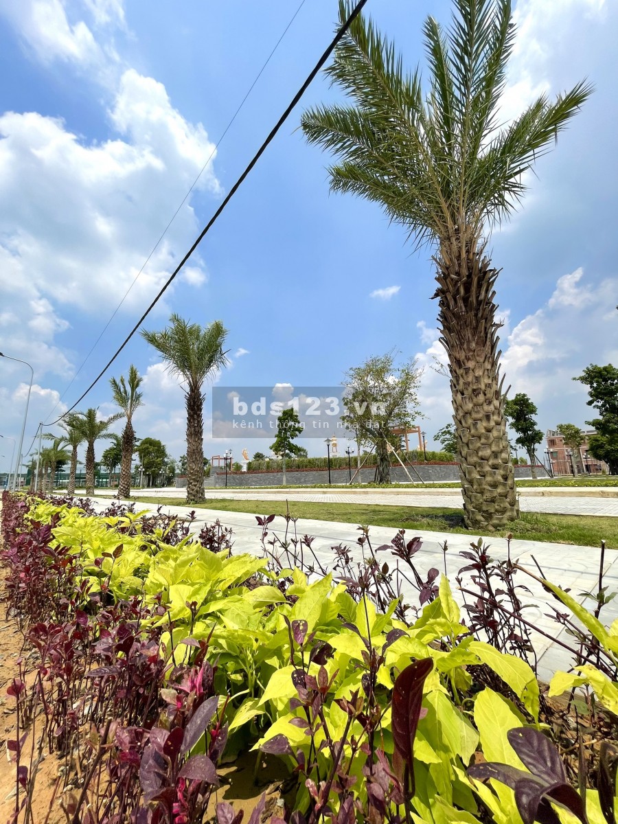 Vị Trí Siêu Đẹp giá siêu hấp dẫn nhiều chính sách cực kì ưu đãi tại CENTURY CITY