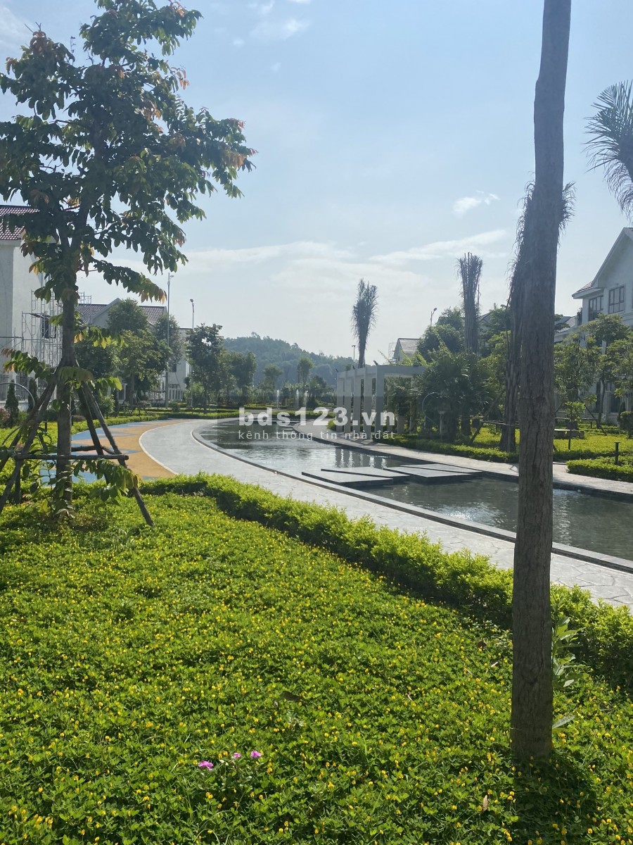 Cần bán lô liền kề siêu đẹp thuộc dự án Times Garden Vĩnh Yên, chiết khấu lên đến 7%/căn