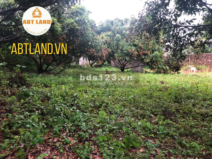 Đất thổ cư đẹp, giá rẻ đường xã thuận tiện, cam kết tăng trưởng lợi nhuận từ 10-30%