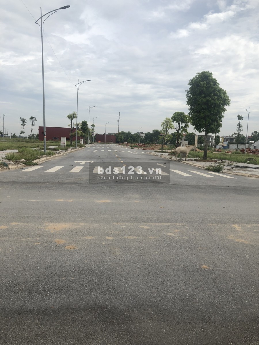 Cần tiền bán gấp đất dự án KĐT Hải Quân Tam Giang Yên Phong Bắc Ninh