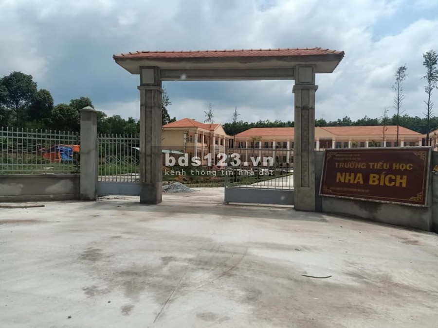 Bán đất đường lớn Chơn Thành Bình Phước, hơn 1000m2 giá 550 triệu