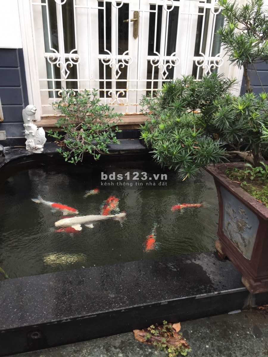Biệt Thự, khu đô thị Việt Hưng, dt 250m2 mt 10m 4 tầng, Việt Hưng, Long Biên
